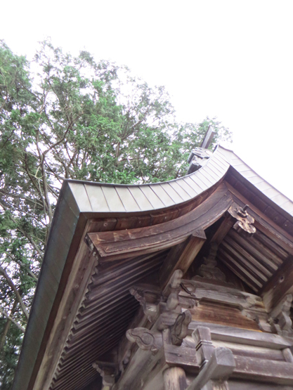 龍王神社・魔除け天神ご神域の大樹